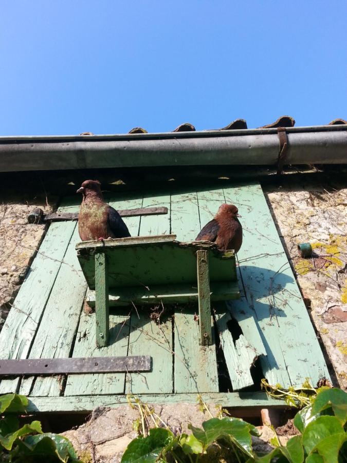 Petit Manoir De La Berthenlaire Acomodação com café da manhã Baincthun Exterior foto